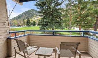 301 E Hyman Ave 202, Aspen, CO 81611