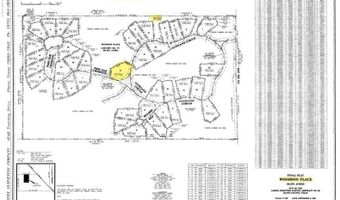 RS PR 6372, Alba, TX 75410