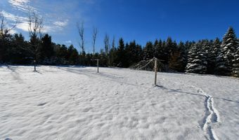 8324 MILLER, Alanson, MI 49706