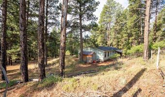 57 Pine Dr, Bayfield, CO 81122