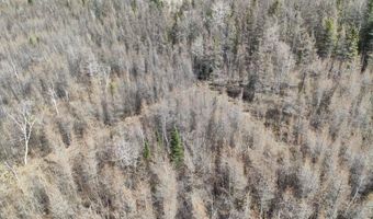 5280 Cathro Rd, Alpena, MI 49707