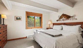 901 E Hyman Ave 13, Aspen, CO 81611