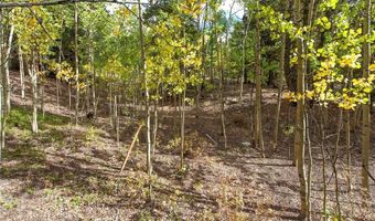 452 QUARTZVILLE Rd, Alma, CO 80420