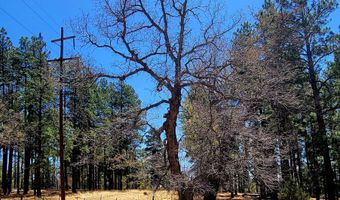 Tbd STONE CREEK RD CR 2117, Alpine, AZ 85920