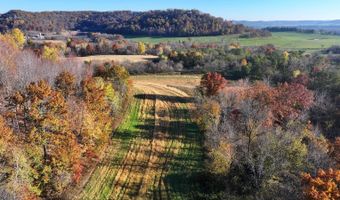 TBD Bear Pen Rd, Arkansaw, WI 54721