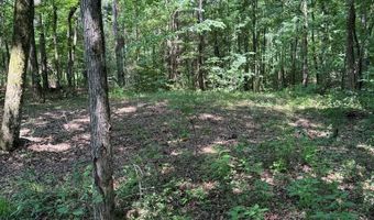 Cr 244, Abbeville, MS 38601