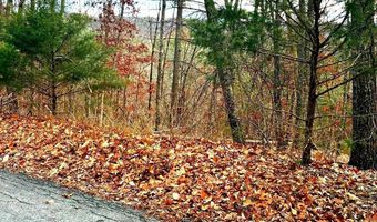 SPITZ Lane, Basye, VA 22810