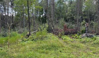 8002 HOLLY Ln, Alvin, WI 54542