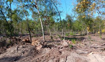 Londe Lane, Barnwell, SC 29812