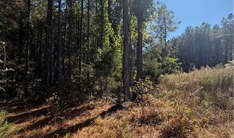 31 Waterside Pt, Abbeville, SC 29620