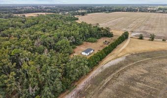 4754 10th St, Bell, FL 32619