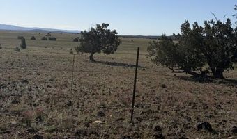 Juniperwood Ranch lot 52, Ash Fork, AZ 86320
