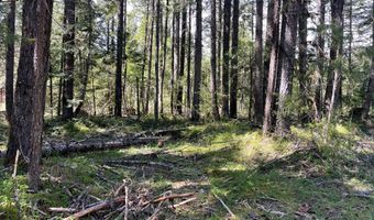 54785 McKenzie River Dr, Blue River, OR 97413