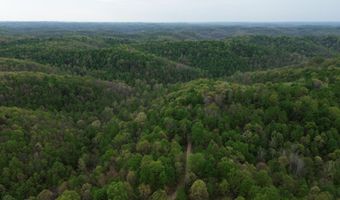 694 A Tunnel Ridge Rd, Argillite, KY 41121