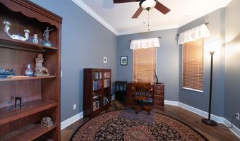 124 SHELL FALLS Dr, Apollo Beach, FL 33572