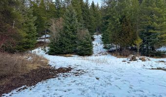NNA Holmes Rd, Bonners Ferry, ID 83805