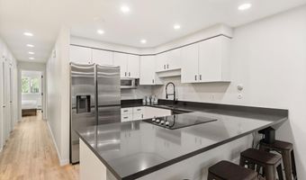 100 E Dean St 1D, Aspen, CO 81611