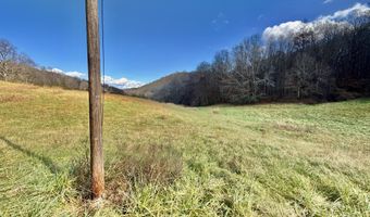 1520 Brittontown Rd, Afton, TN 37616