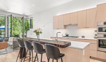 155 Lone Pine - River Blf #C2, Aspen, CO 81611