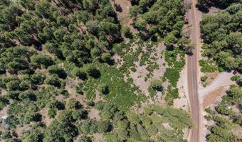 220 Hilltop Dr, Bayfield, CO 81122