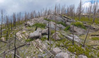 30 Sheep Horn Ct, Bellvue, CO 80512