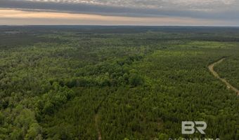 Flowers Road, Bay Minette, AL 36507