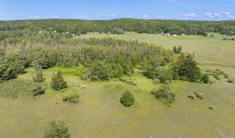 8688 Miller Rd, Alanson, MI 49706
