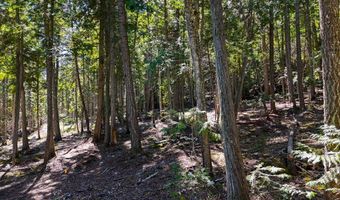 Swan Shores Lane, Bigfork, MT 59911