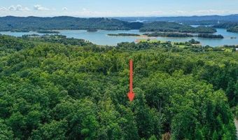 Bayside Blvd lot # 32, Bean Station, TN 37708