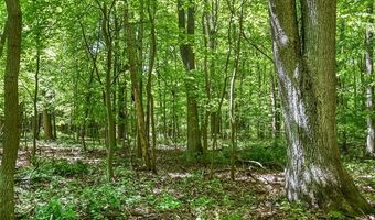 2905 N Lake Pleasant Rd, Arcadia, MI 48412