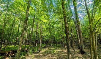 S Badger Lane, Arkdale, WI 54613