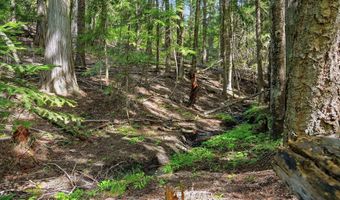 1710 Tower Mountain Rd, Blanchard, ID 83804