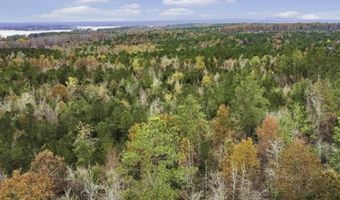 000 C Rock N Creek Rd, Leesville, SC 29070