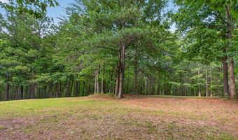 2025 Soap Creek Rd, Ball Ground, GA 30107