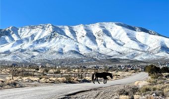155 Oak Trail Cir, Cold Creek, NV 89124