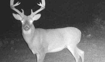 0001 E 1960 Rd, Antlers, OK 74523