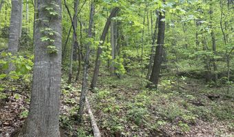 999999 Harwood Rd 2, Barnardsville, NC 28709