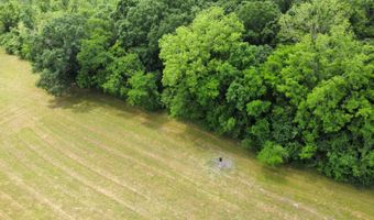 1226 Joe Kidder Rd, Arnaudville, LA 70512