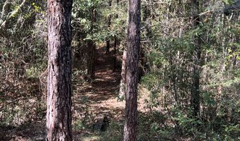 259 Forest Lake Rd, Beaumont, MS 39423