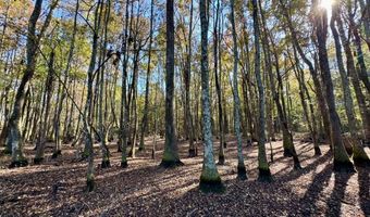 TBD Binnicker Bridge Road, Bamberg, SC 29003