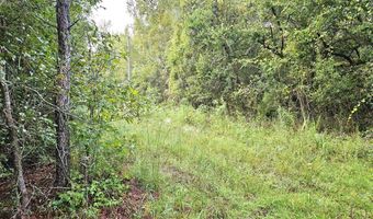 TBD Plowden Mill Road Tract D, Alcolu, SC 29001