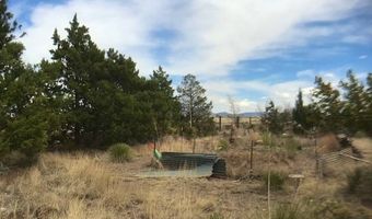362 Schlarb Rd, Carrizozo, NM 88301