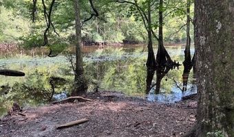 1373 Bridge St, Branchville, SC 29432