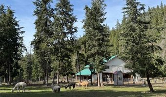 2368 Petty Creek Rd, Alberton, MT 59820