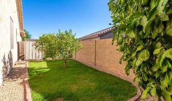 31830 N 53RD St, Cave Creek, AZ 85331