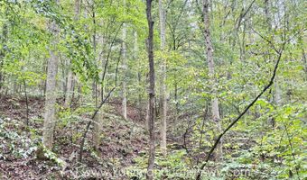 Jesse Run Rd, Arnoldsburg, WV 25234
