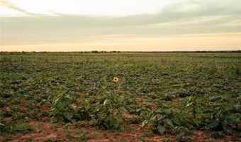Tbd White Mines Rd, Abilene, TX 79603