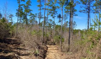 Adams Road - 1 & 2, Bankston, AL 35542
