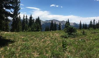 TBD Forest Service Road 861 D1, Crested Butte, CO 81224