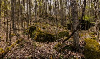 Tbd9999 Wentworth School Road, Beattyville, KY 41311
